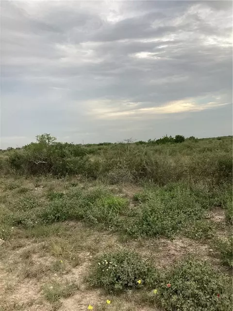 1021 Frontier A Rd, Freer, TX 78357