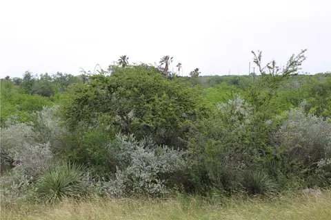 00 Cenesia Dr, Sandia, TX 78383