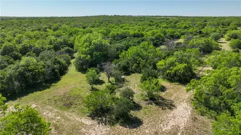 48 Ac County Road 114, George West, TX 78022