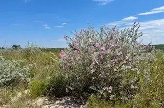391 Hidden Crk, Orange Grove, TX 78372