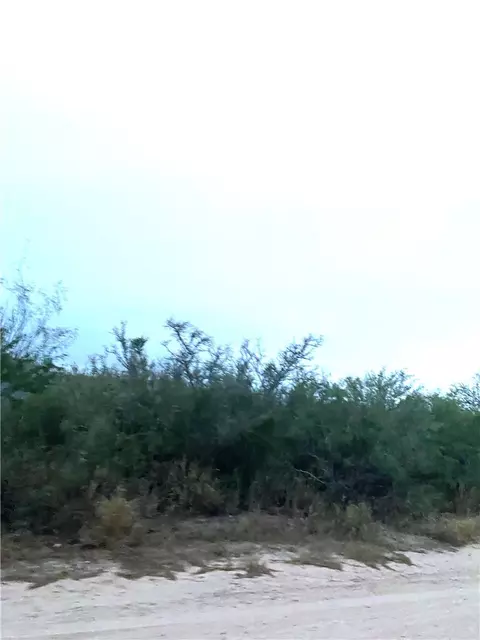 7039 County Road 205--2222 Acres, San Diego, TX 78384