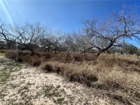 tbd Marigold Ave, Mathis, TX 78368 photo 10