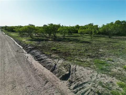730 Cr 200, Three Rivers, TX 78071