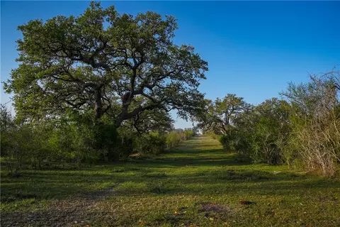 8440 State Highway 239 W, Goliad, TX 77963