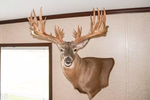 00 Tbd, Freer, TX 78357 photo 8