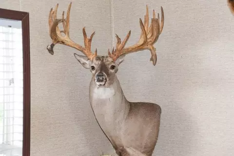 00 Tbd, Freer, TX 78357 photo 11