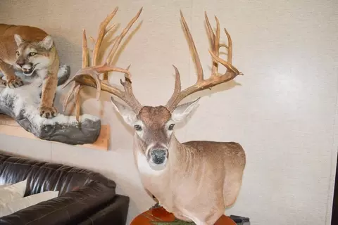 00 Tbd, Freer, TX 78357 photo 10