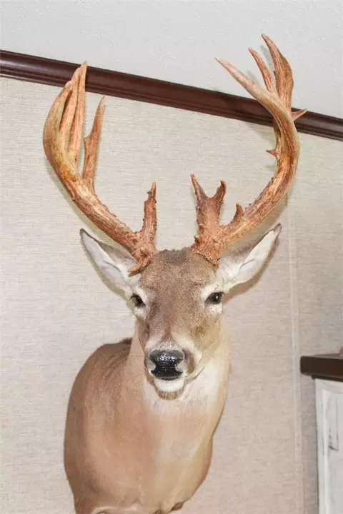 00 Tbd, Freer, TX 78357 photo 9
