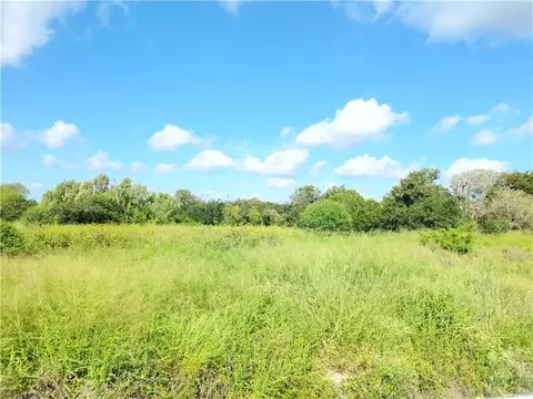00 County Road 2095, Odem, TX 78370