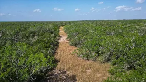 tbd Fm 624, George West, TX 78022