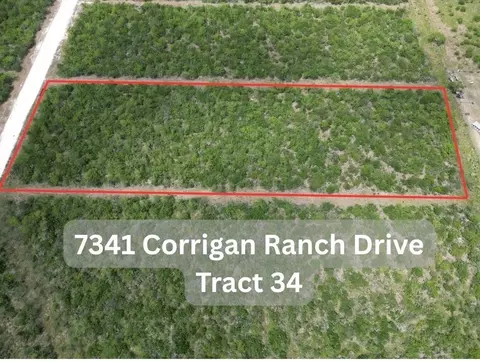 7341 Corrigan Ranch Drive- Tract 34, Skidmore, TX 78389