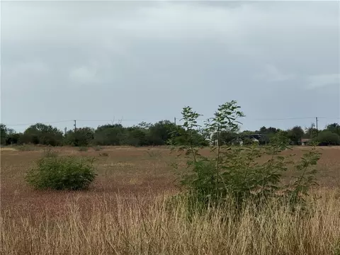2003 S Cameron St, Alice, TX 78332