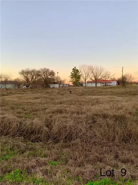 411 E Walton St, Skidmore, TX 78389