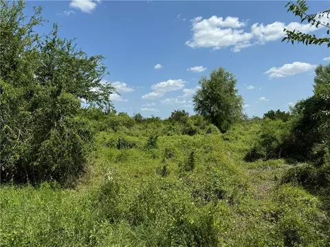 000 Deer Run Trce, Three Rivers, TX 78071