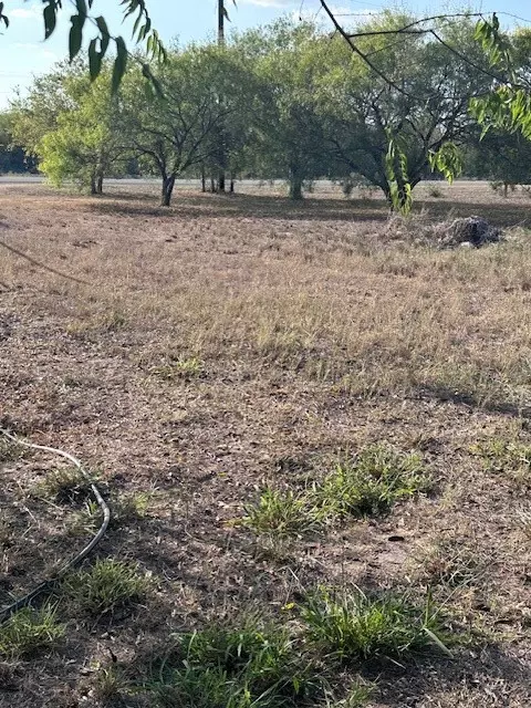 Other - 5452 Fm 666 St, Mathis, TX 78368 photo 5 of 7
