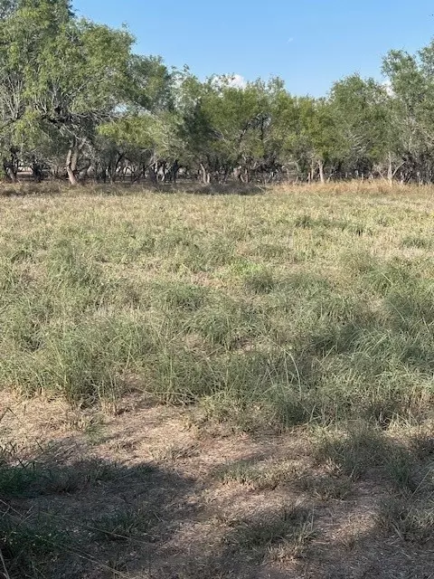 Other - 5452 Fm 666 St, Mathis, TX 78368 photo 6 of 7