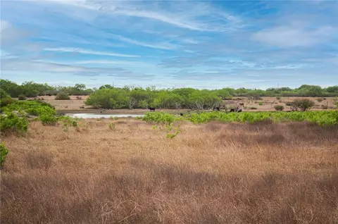 tbd Fm 738, Orange Grove, TX 78372