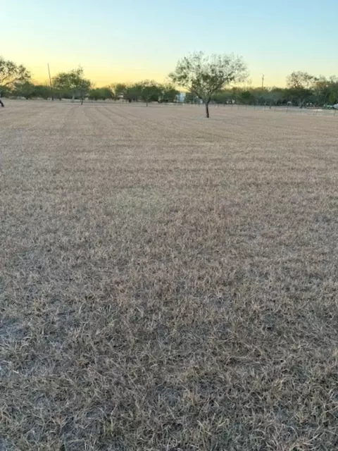 3872 Cobb Ln, Robstown, TX 78380