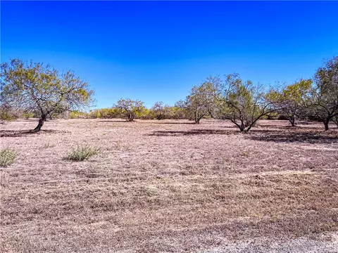 lot10 Fm 3376, Alice, TX 78332