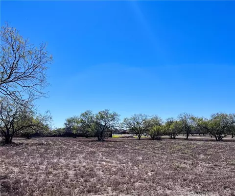 lot11 Fm 3376, Alice, TX 78332