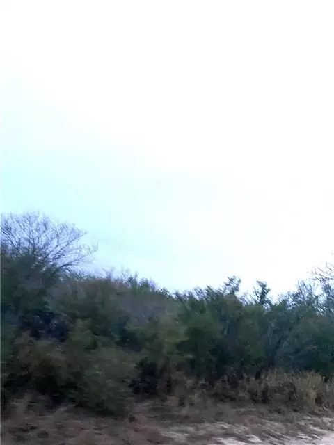 7039 Fm 1329, San Diego, TX 78384