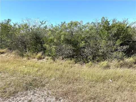 2647 Highway 359, Benavides, TX 78341