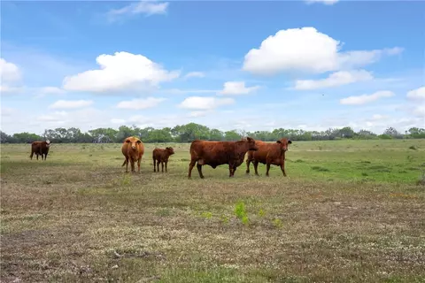 00 N Cr 1050, Kingsville, TX 78363