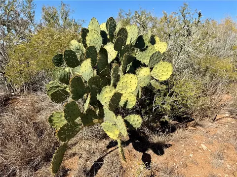 0 County Road 203, San Diego, TX 78344
