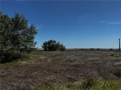 4424 Skyhawk St, Robstown, TX 78380