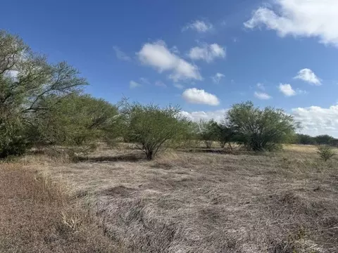 2364 County Road 856, Mathis, TX 78368 photo 2