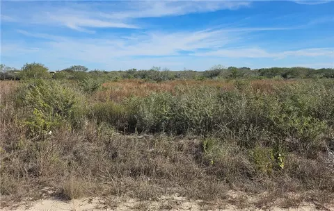 20 County Road 1431, Alice, TX 78384