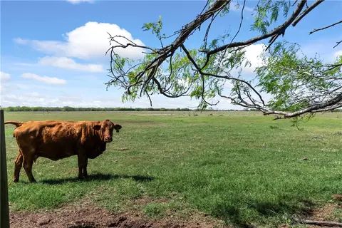 00 E County Road 2140, Kingsville, TX 78363