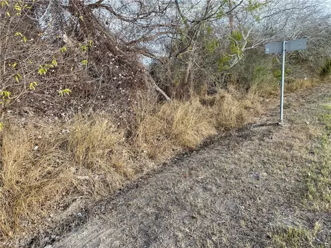 00 N Hwy 37 Access, Three Rivers, TX 78071