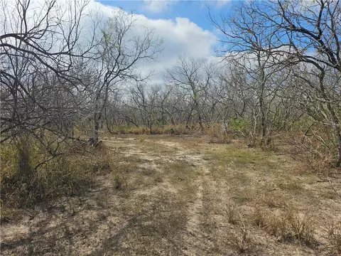 23354 County Road 1038, Mathis, TX 78368 photo 8