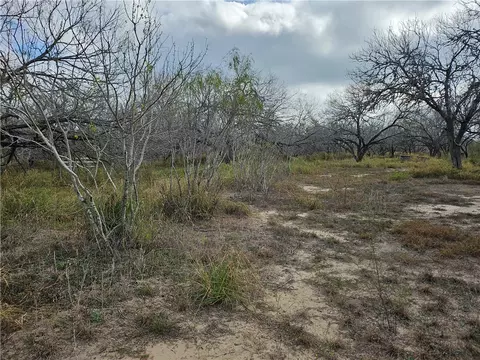 23354 County Road 1038, Mathis, TX 78368 photo 10