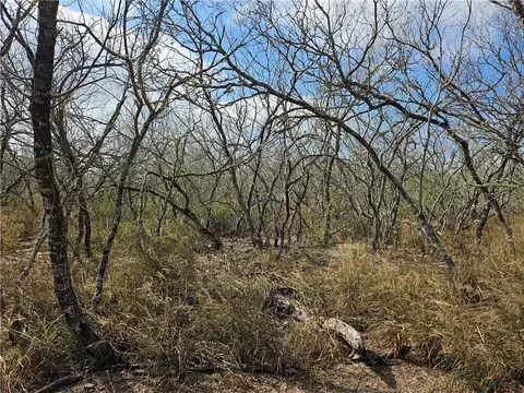 23354 County Road 1038, Mathis, TX 78368 photo 7