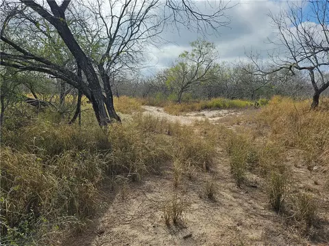 23354 County Road 1038, Mathis, TX 78368 photo 9