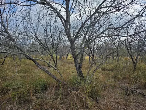 23354 County Road 1038, Mathis, TX 78368 photo 13