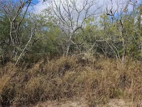 23354 County Road 1038, Mathis, TX 78368 photo 14