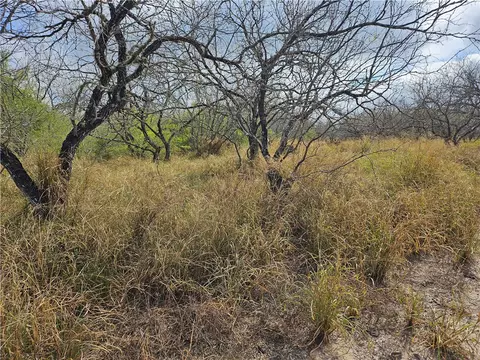 23354 County Road 1038, Mathis, TX 78368