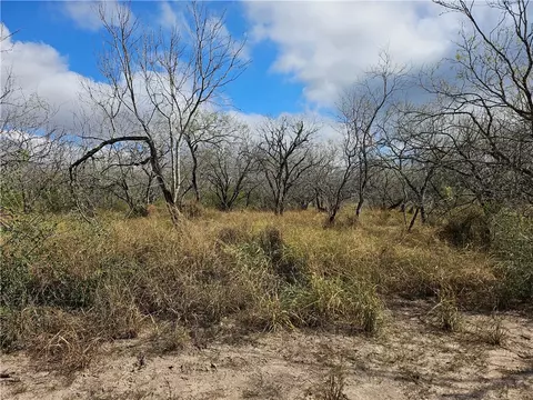 23354 County Road 1038, Mathis, TX 78368 photo 4