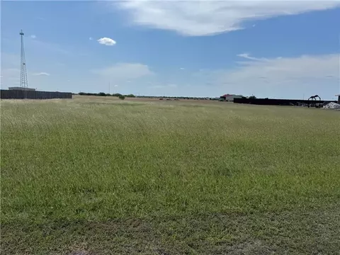 230 Anaqua Dr, Orange Grove, TX 78372