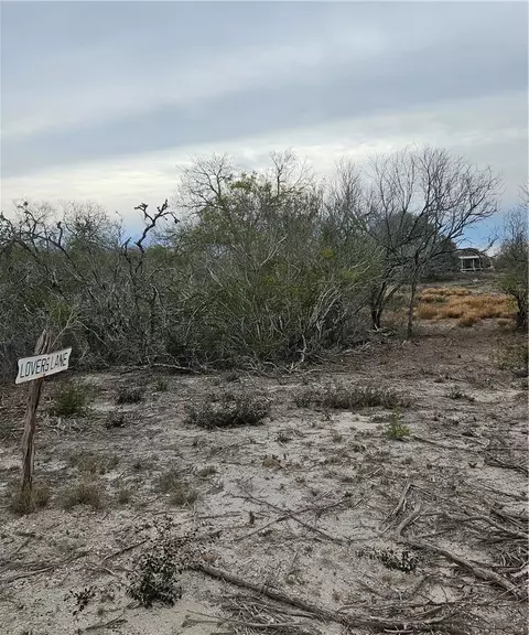 1828 Fm 534, George West, TX 78368 photo 8