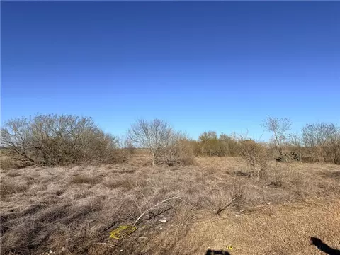 00 Oregon St, Bishop, TX 78343