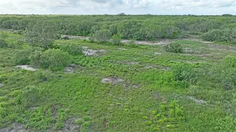 tbd W Cr 2170, Ricardo, TX 78363