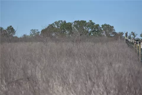 Track 24 Jackson Road, Refugio, TX 78377 photo 7