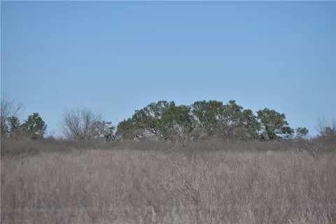 Track 24 Jackson Road, Refugio, TX 78377 photo 6