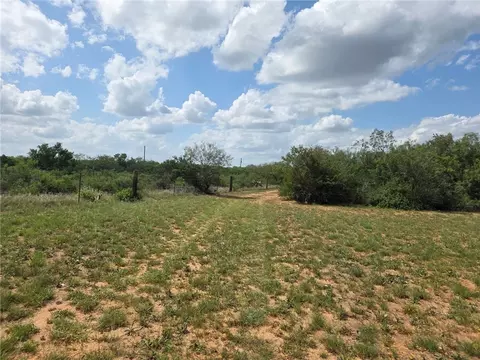 584 County Road 223, Concepcion, TX 78349