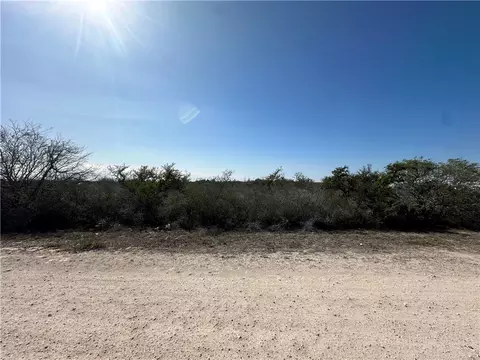 0 County Road 3083, Orange Grove, TX 78372