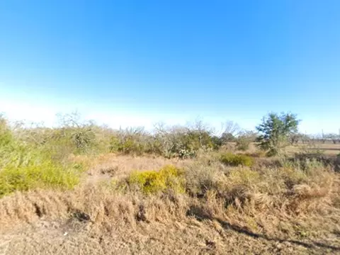 0 E County Road 303, Orange Grove, TX 78372